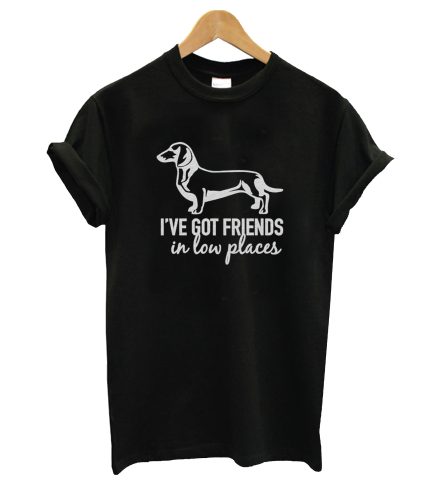 I've Got Friends in Low Places T-Shirt